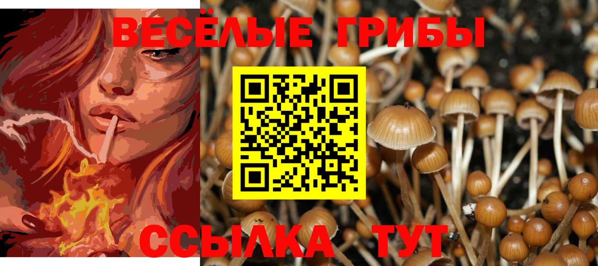 Валуйки  Псилоцибиновые грибы GOLDEN TEACHER  Вход с VPN 